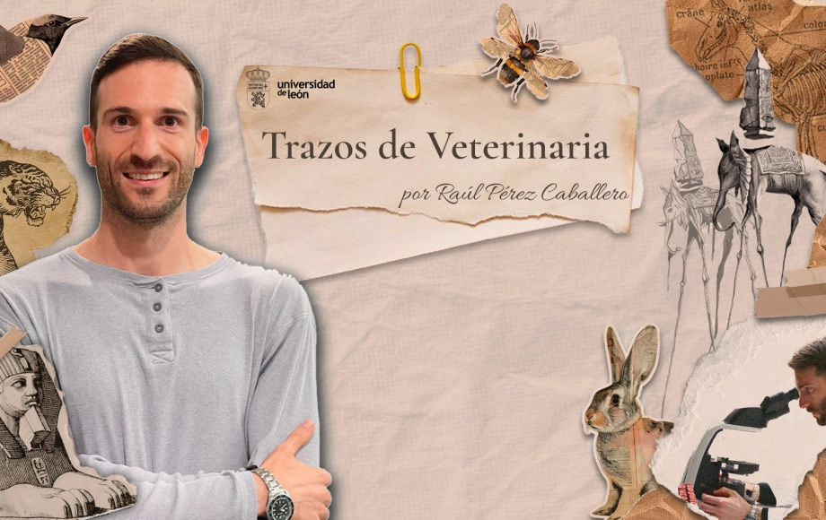 Trazos de veterinaria 4 - Animal y los dilemas del veterinario clínico