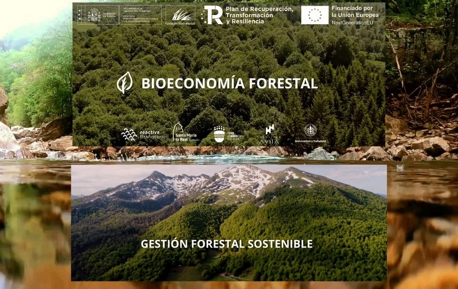 Reactiva Brañosera I Gestión forestal sostenible
