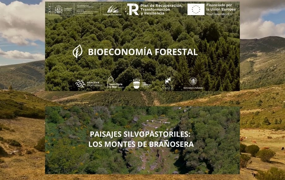 Reactiva Brañosera I Paisajes silvopastoriles
