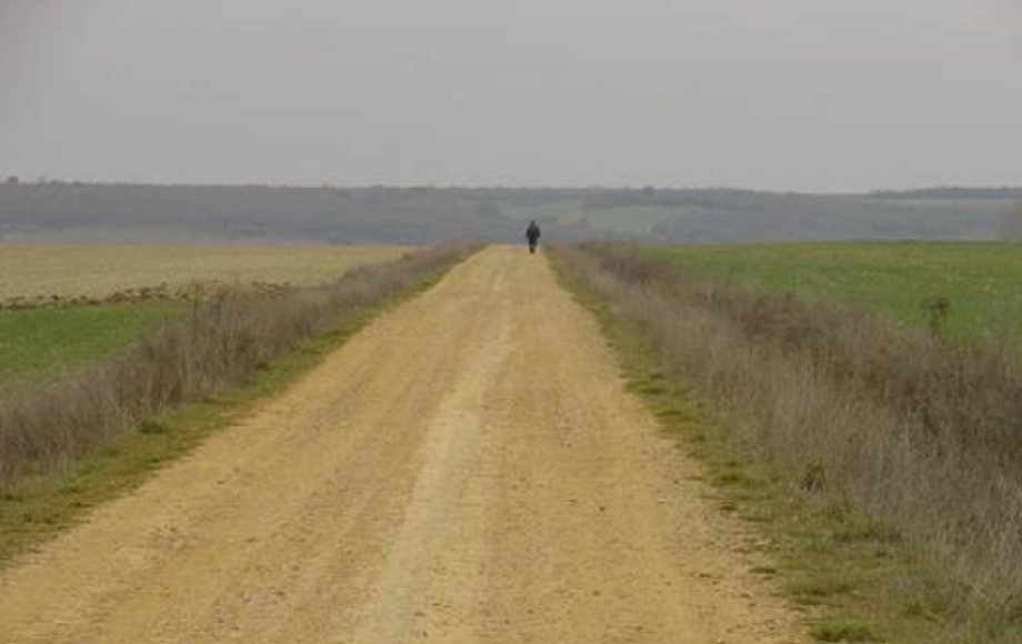 La formación del Camino principal y su consolidación