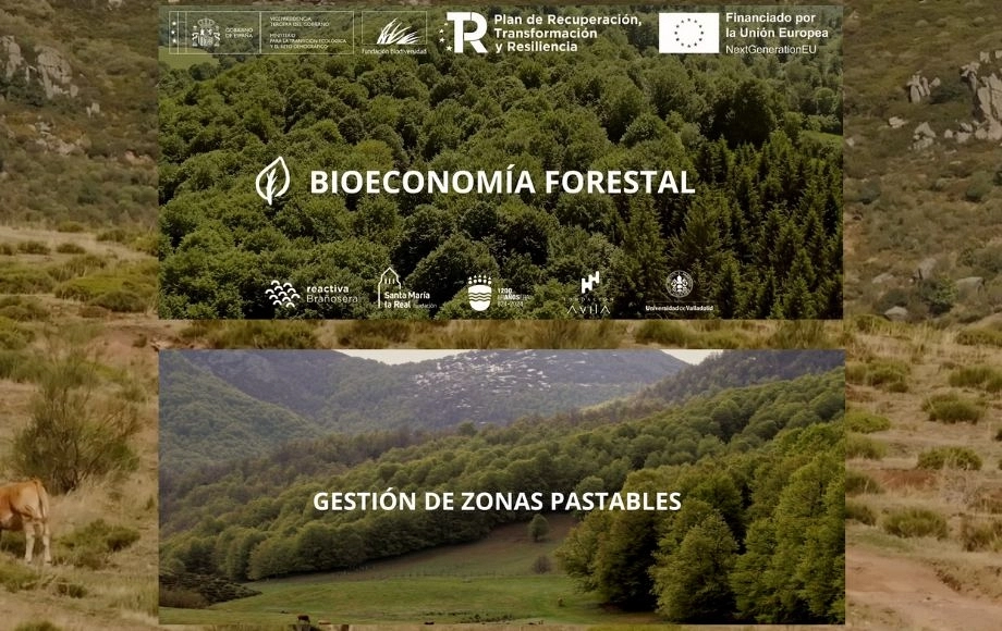Reactiva Brañosera I Gestión de zonas pastables