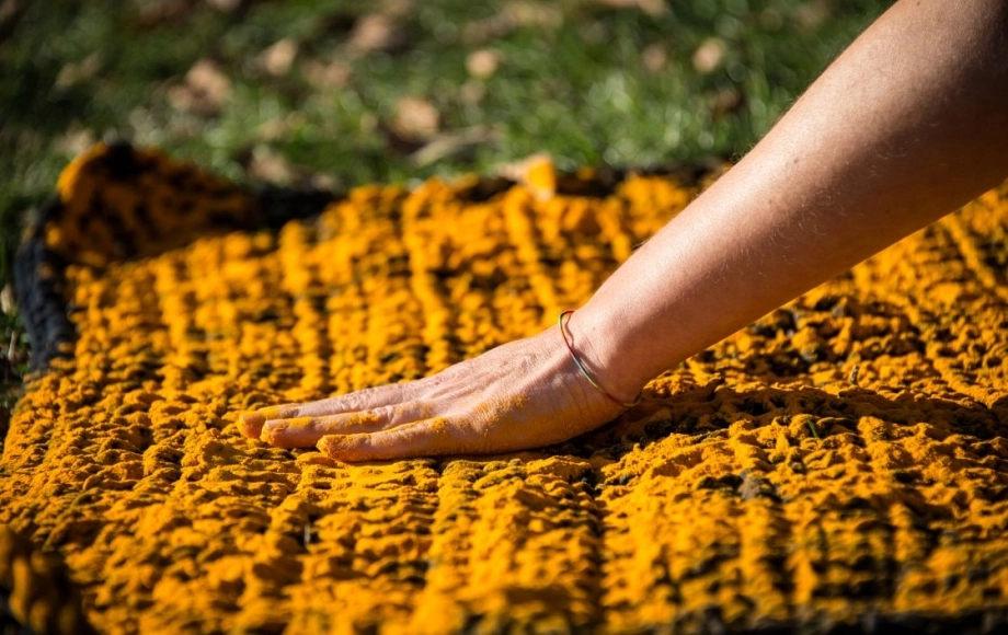 Visión y presencia femenina en el Museo Thyssen