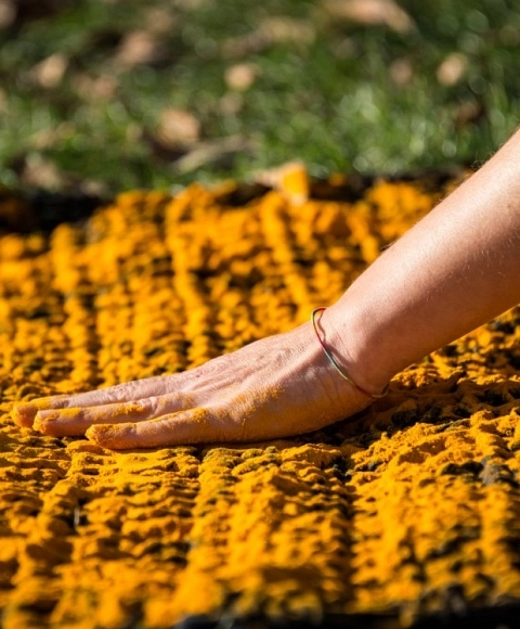 Visión y presencia femenina en el Museo Thyssen