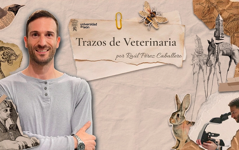 Trazos de veterinaria 12 - Cuando el zoológico se convirtió en medicina
